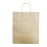 Fiesta Recyclable Twist Handle Brown Paper Bags Large (250 Pack)