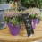 Display Holders for Securit Mini Chalkboard Tags (CL310) (10 Pack)