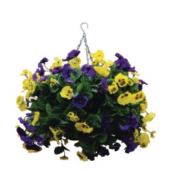 Artificial Plants and Planters