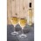 BBP Polycarbonate Wine Glasses 255ml CE Marked at 175ml (12 Pack)