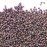 JM Posner Milk Chocolate Chips 6kg (2 Pack)
