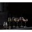 Royal Leerdam Experts Water Tumblers 450ml/15.75oz (6 Pack)