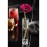 Utopia Lucent Bud Vases 185ml (6 Pack)