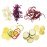 Robot Coupe Food Processor with Veg Prep Attachment R301