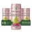 Folkington's Sparkling Drinks Rhubarb & Apple Can 250ml (12 Pack)