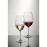 Schott Zwiesel Ivento Red Wine Glasses 480ml (6 Pack)