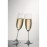 Schott Zwiesel Ivento Champagne flute 230ml (6 Pack)