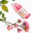VITHIT Immunitea Dragonfruit & Yuzu Vitamin Water 500ml (12 Pack)