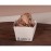 Notpla Square Open Takeaway Boxes 350ml - White ( 250 Pack)