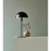 Nordlux Ellen 20 Indoor Table Lamp Black