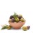 Mr Filbert's Grab and Go Rosemary & Garlic Olives (12 x 50g)