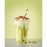 Simply Pistachio Syrup 1Ltr